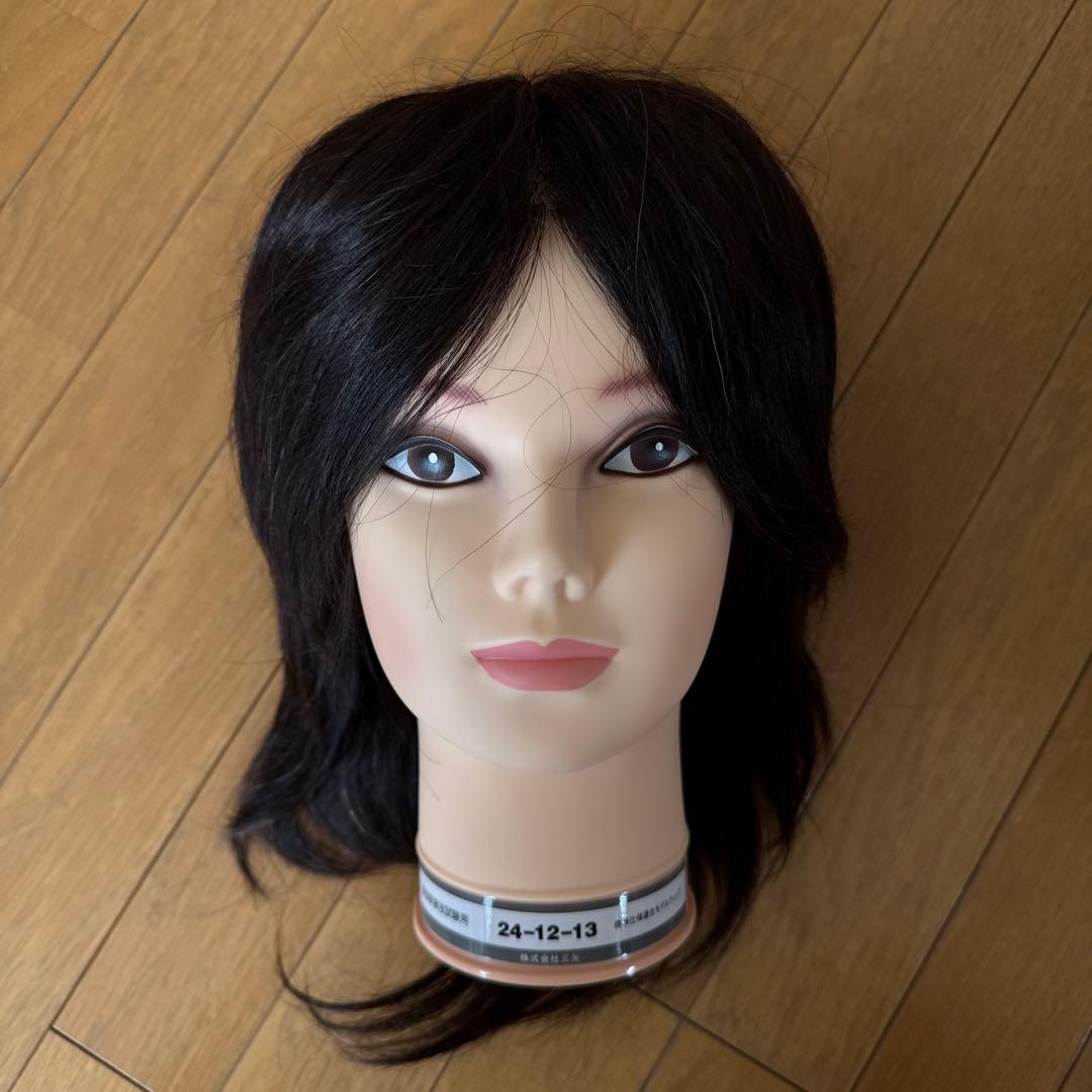 新品国試用カットウィッグ　2個