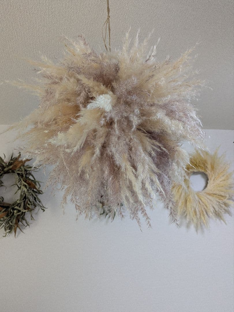 ドライフラワー★ふわふわパンパス特大フライングボール★インテリア♪癒し♪可愛い♪