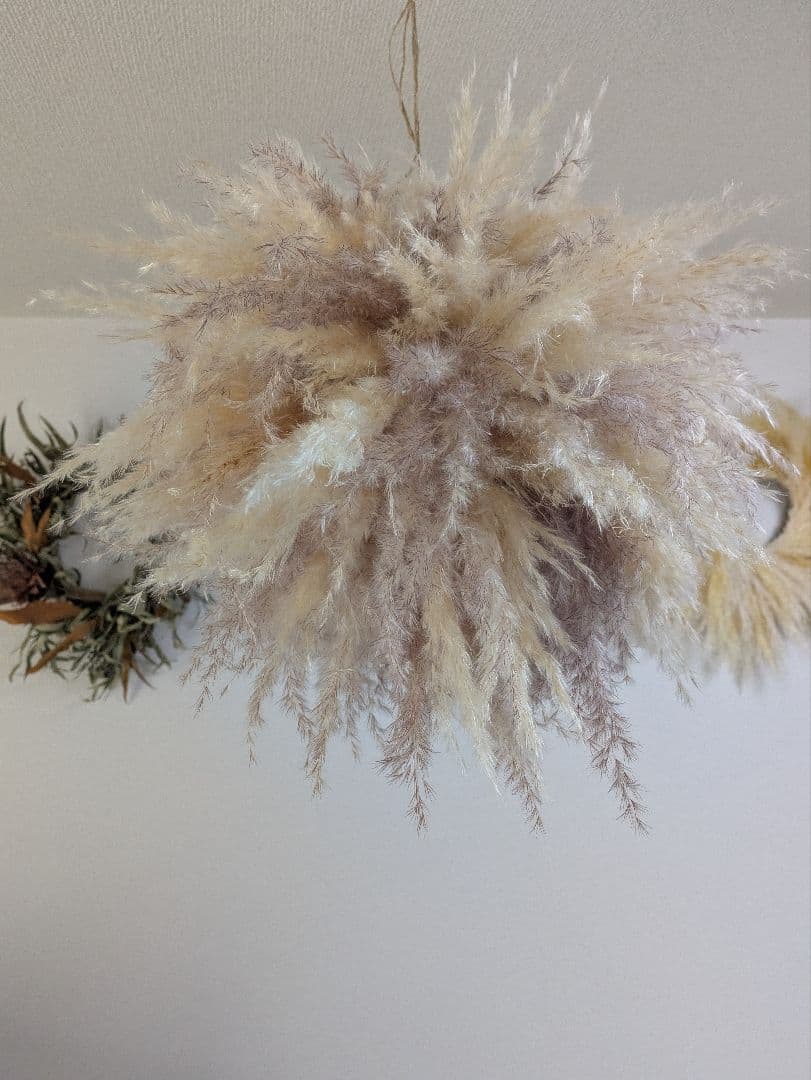 ドライフラワー★ふわふわパンパス特大フライングボール★インテリア♪癒し♪可愛い♪