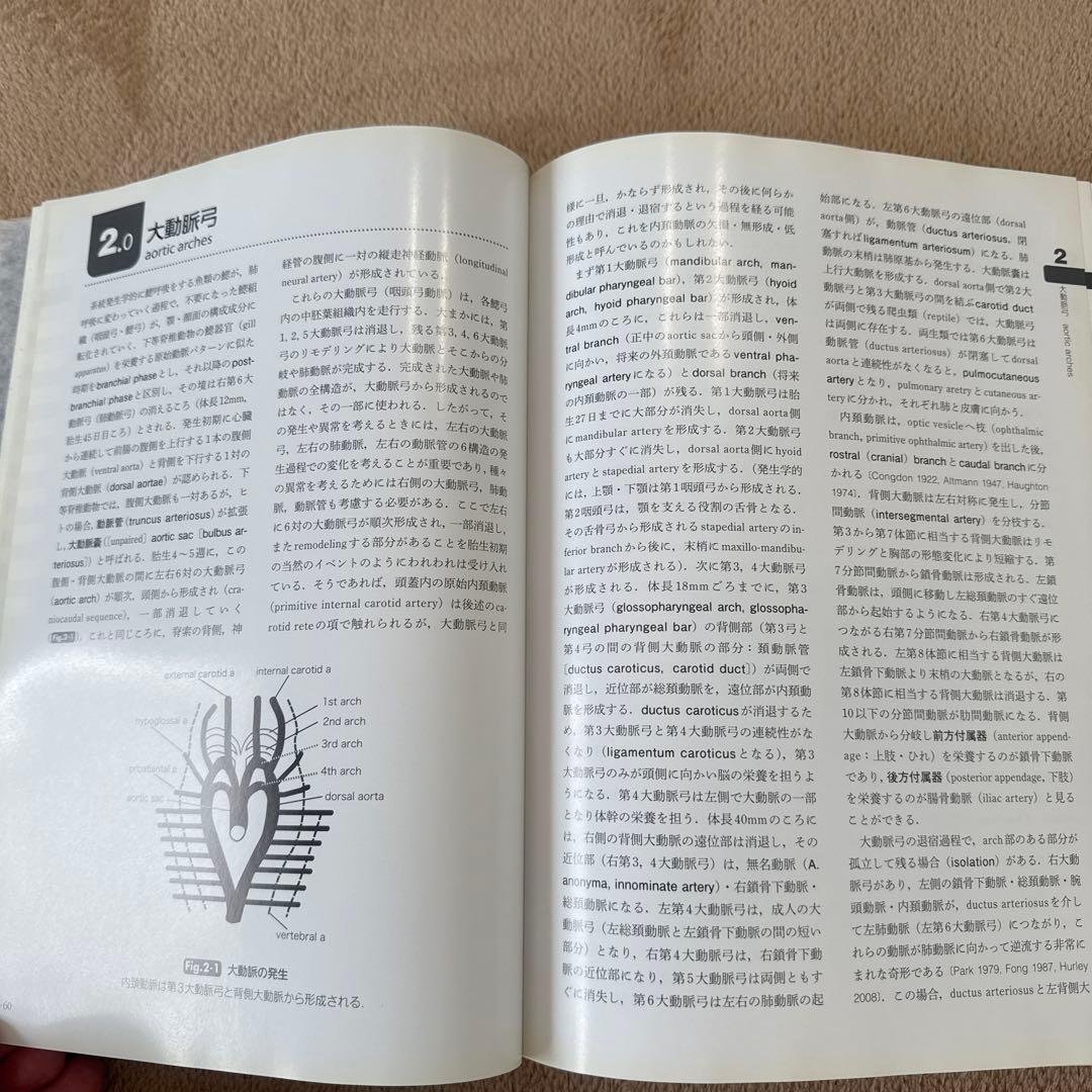 医学書　脳脊髄血管の機能解剖 増補版