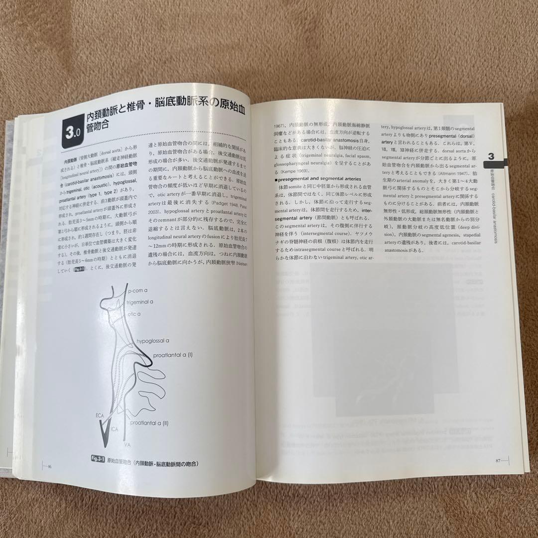 医学書　脳脊髄血管の機能解剖 増補版