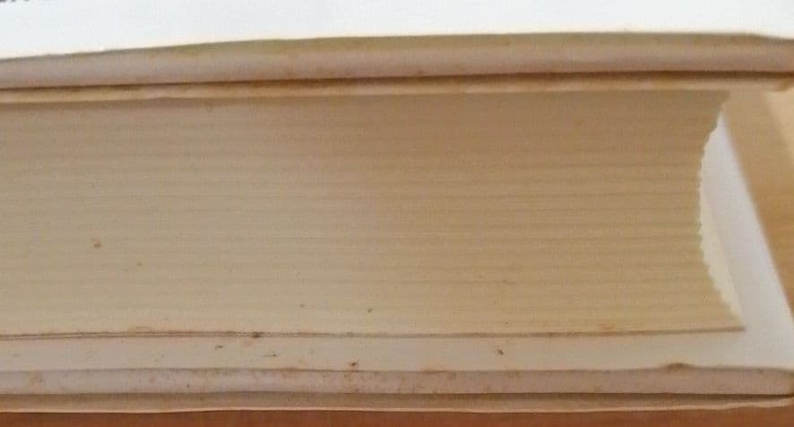 インベストメント : 米系バイサイド・アナリストの投資哲学と投資技法