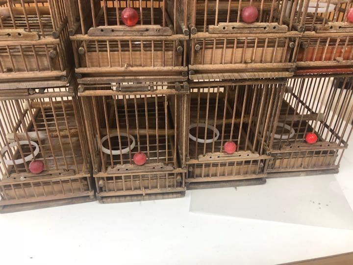 鳥籠