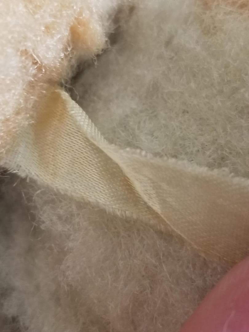 チャドバレー　ヴィンテージ　ドッグ　犬