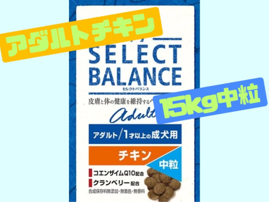 リオ