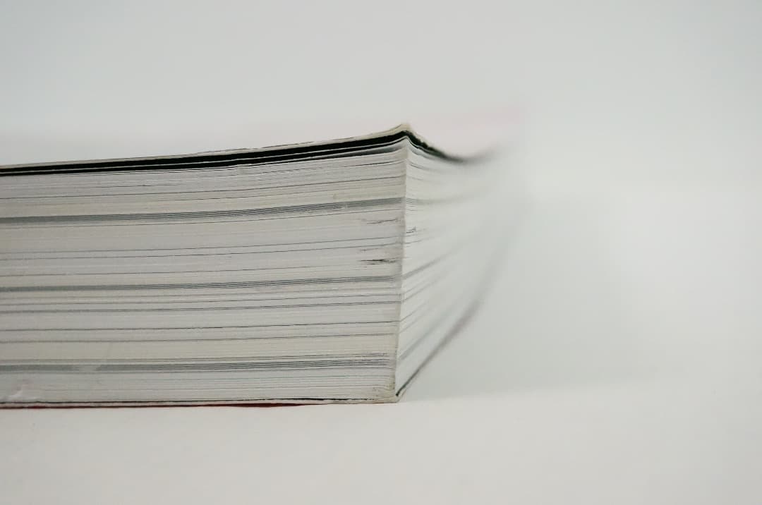 古本 2000部限定 Le petit voyeur #6 カルチャーマガジン