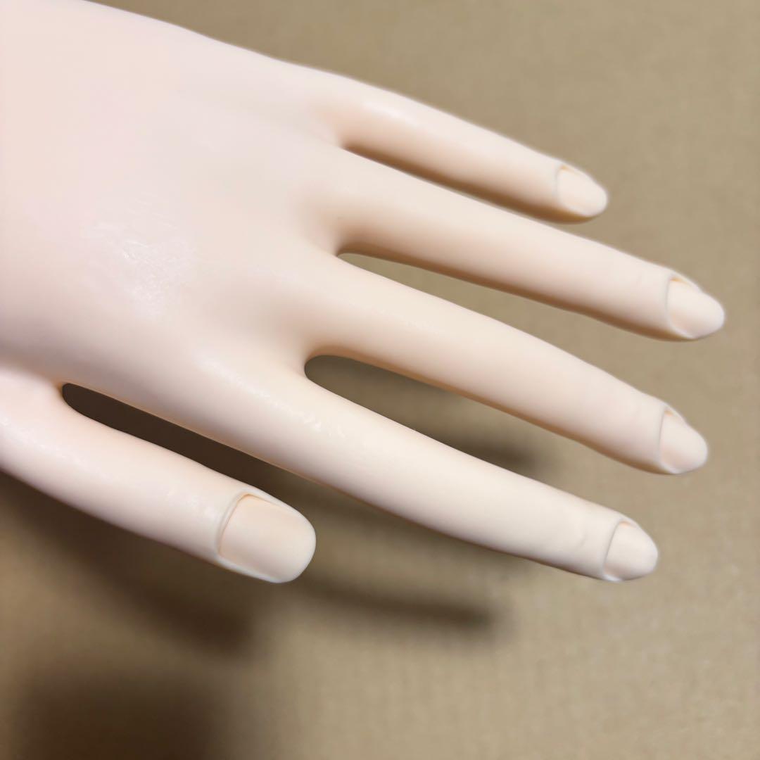 JNEC認定モデルハンド 両手セット 箱付き チップ付き