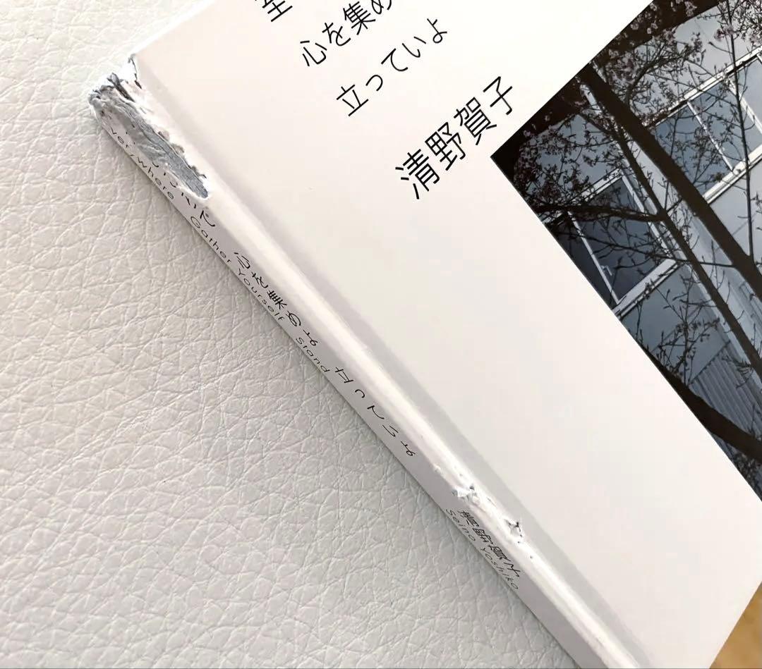 清野賀子　Seino Yoshiko