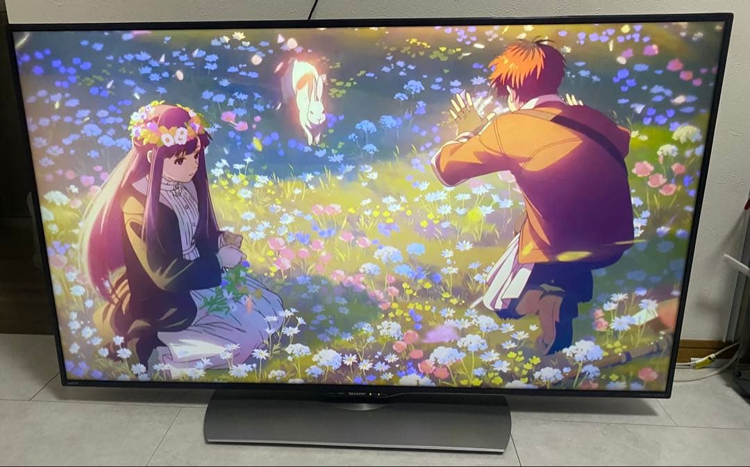土日限定値下　SHARP AQUOS 50V型 4K液晶テレビ LC-50U40
