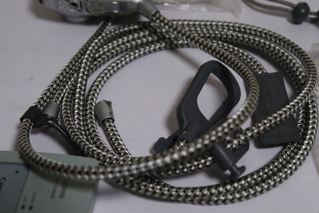 キヤノン パワーショット D10