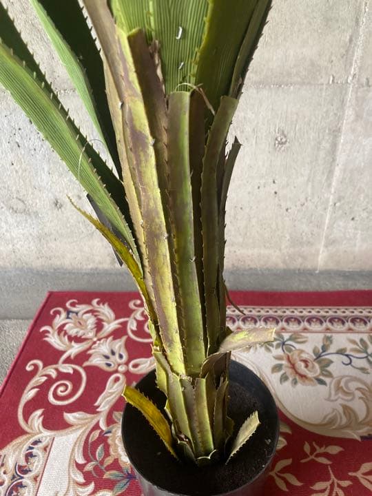 光触媒　人工観葉植物　ウォールグリーン　フェイクグリーン　アガベテナータpt