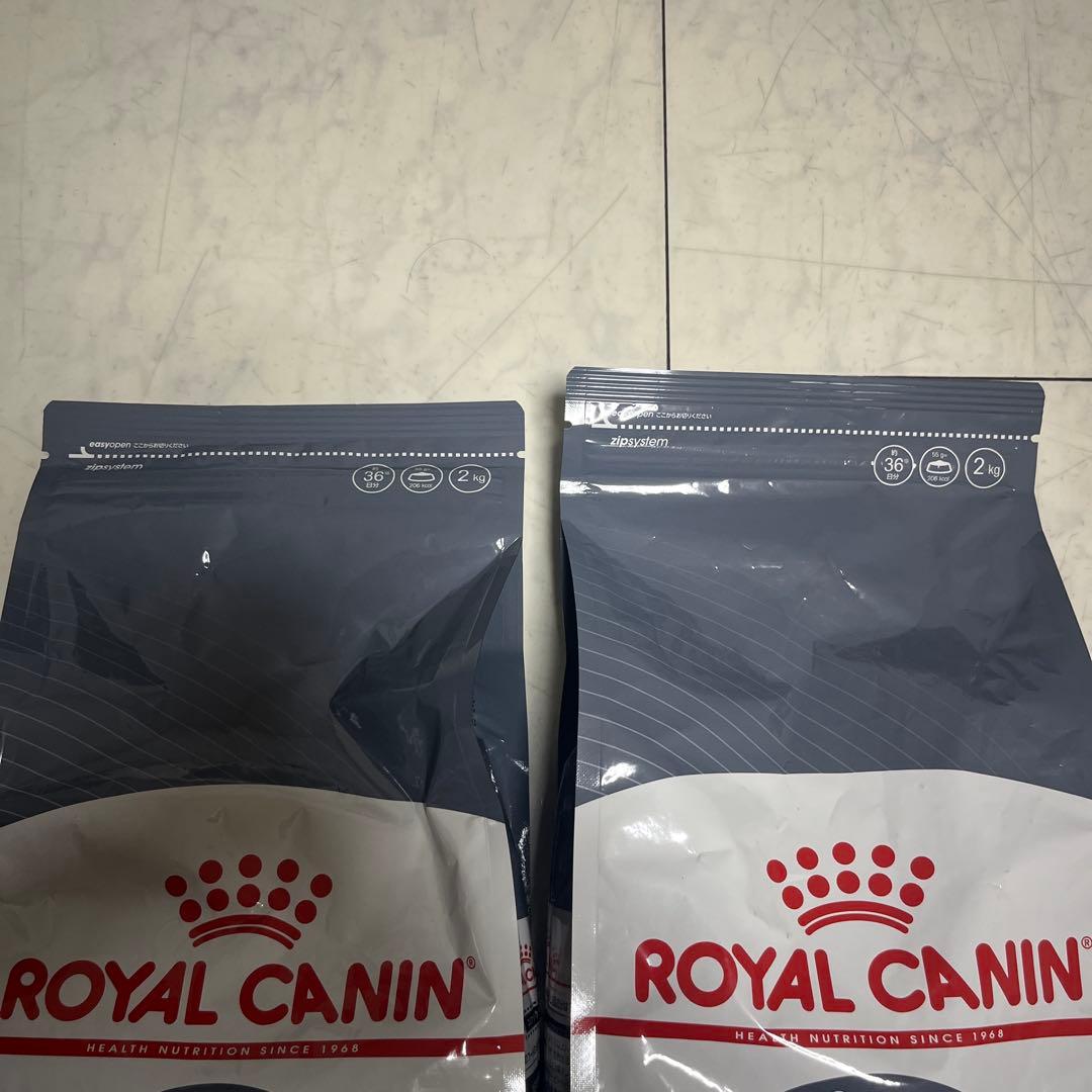 CANIN健康な尿を維持したい猫用4kg賞味期限2026年11月23日