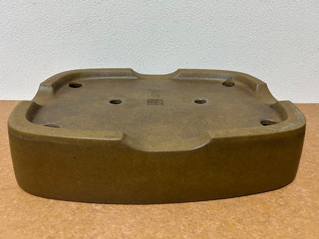 萬留平　盆栽鉢　山野草