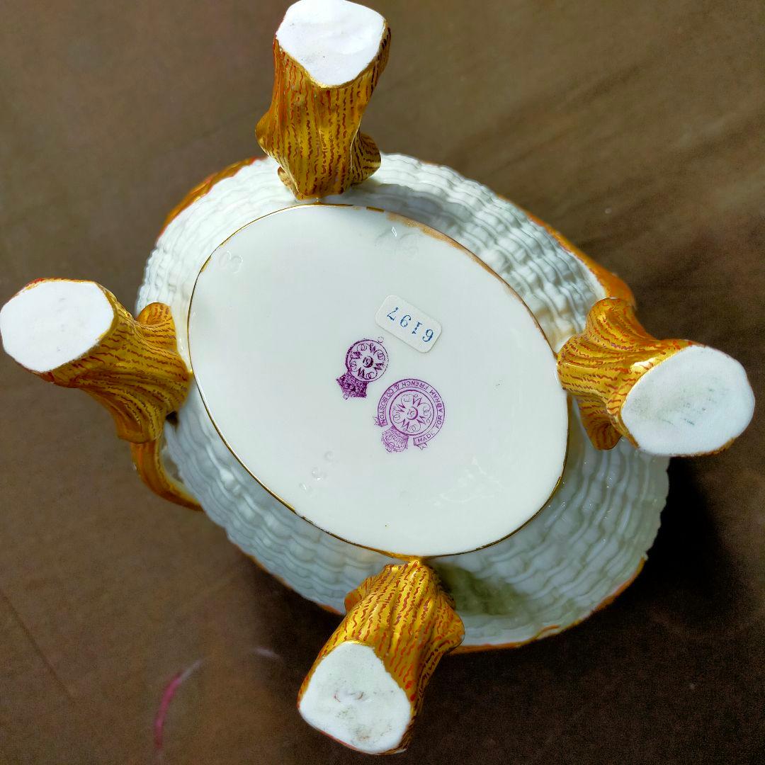  WORCESTER DOGWOOD FLOWER VACE！