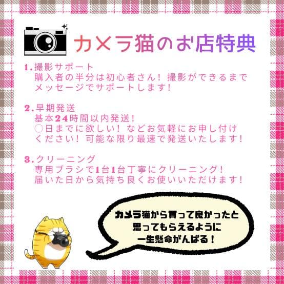 ✨ショット数4601回✨届いてすぐ使える✨Nikon D70s レンズセット