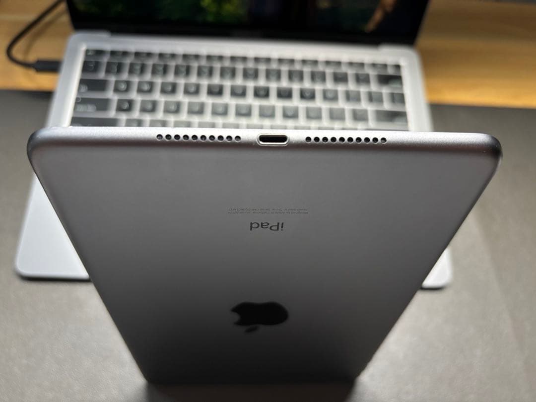 【セット売り】iPad mini 5セルラー64GB +Apple Pencil