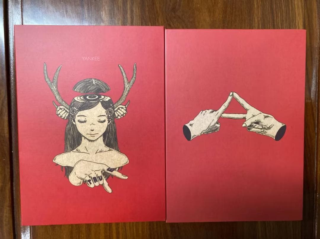米津玄師 YANKEE 初回限定画集版