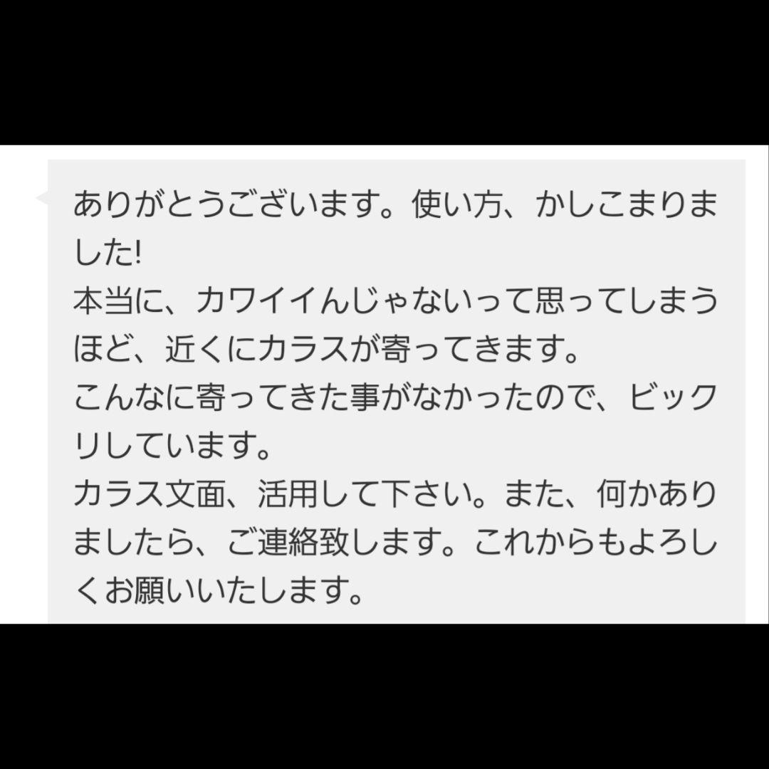 【ご予約品】ファウスト博士の精霊召喚魔術書 ✚魔術的力、霊的な力を引き寄せる護符