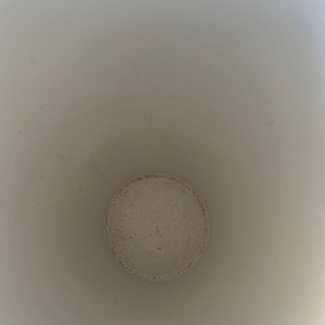 高級骨董品