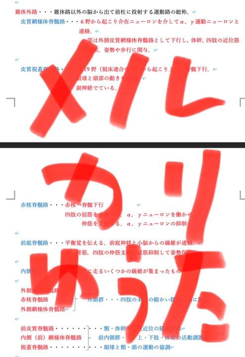 著作権譲ります　先着1名限定です！