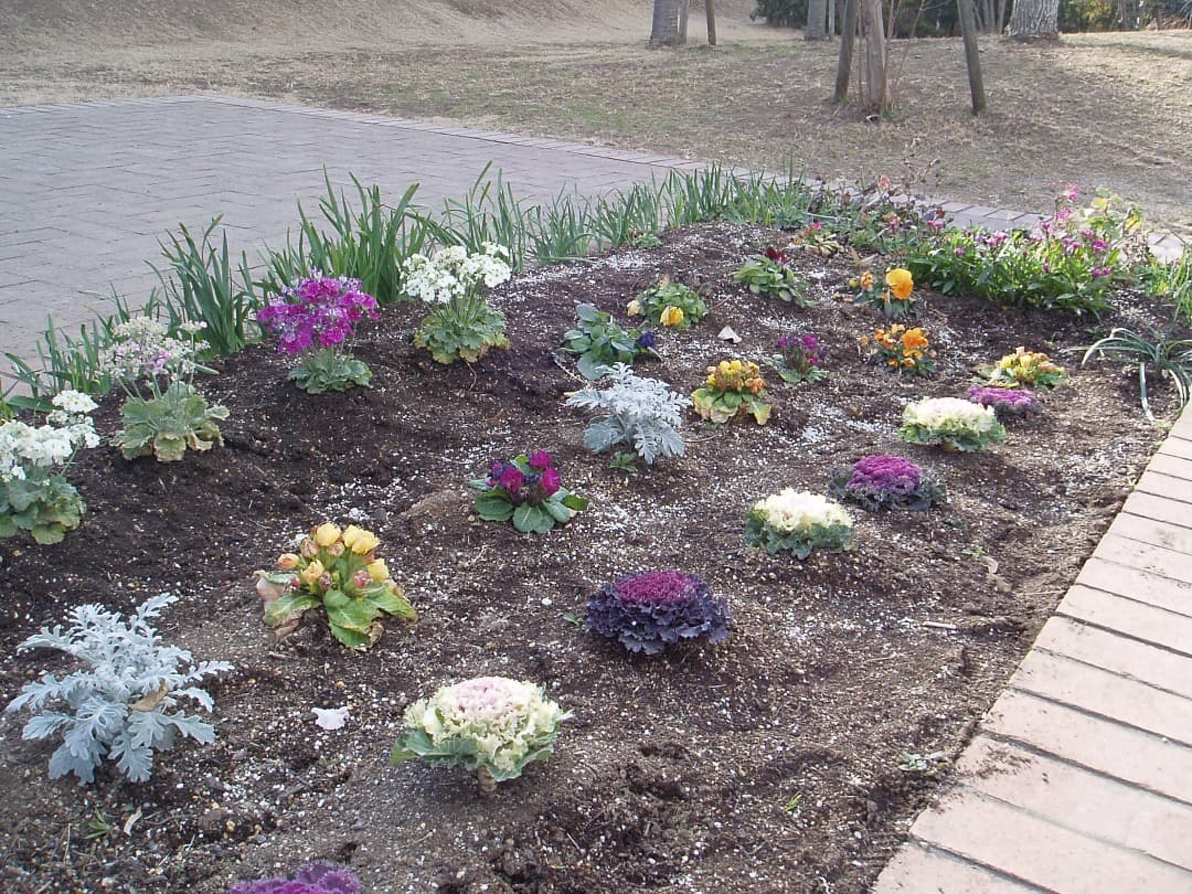 実写美⭕️【動作確認済】OLYMPUS μ-30 DIGITAL デジタルカメラ