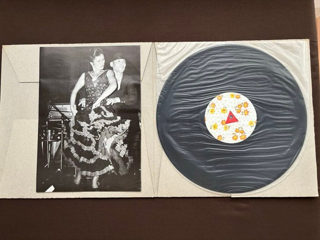 アート・デザイン・音楽 PUNGO 1980-1981