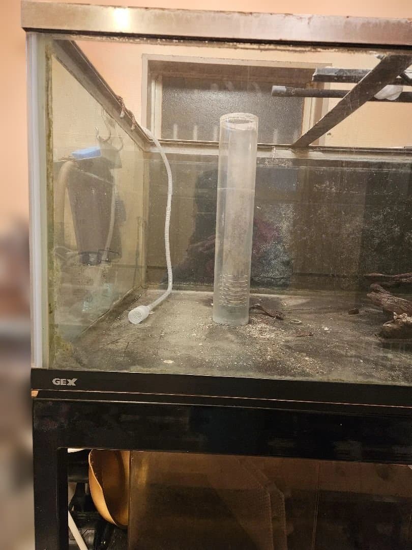 大型オーバーフロー水槽