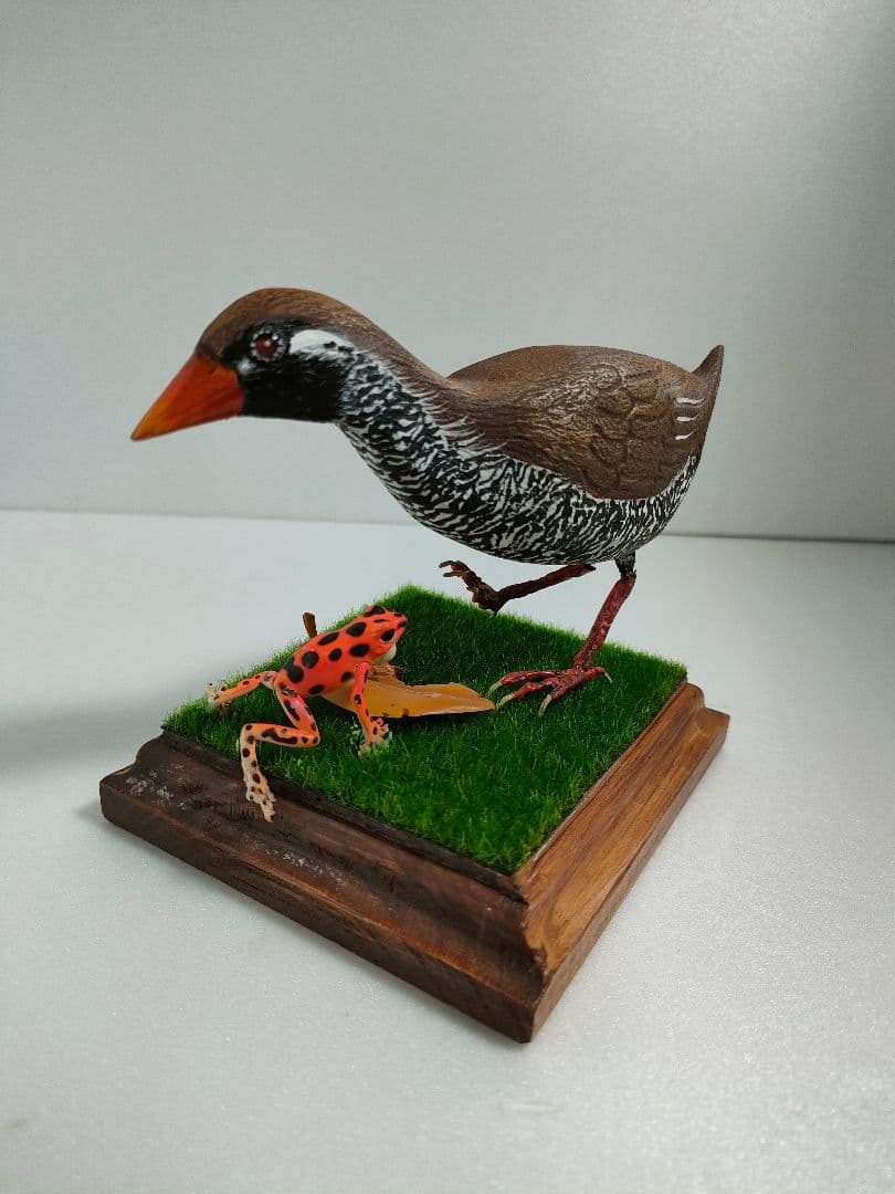 ヤンバルクイナ　バードカービング