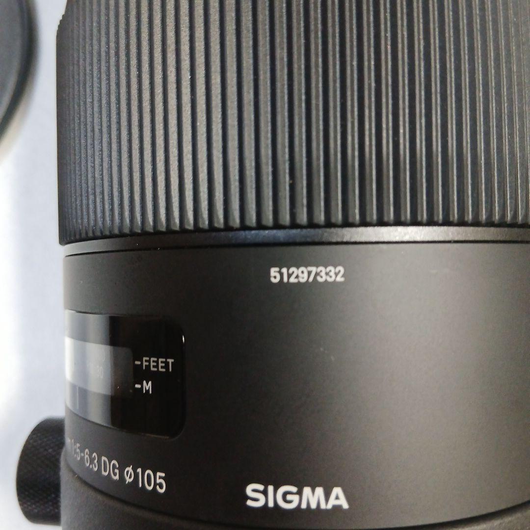 シグマレンズ150~600スポーツ F5ー6.3 DG OS HSM