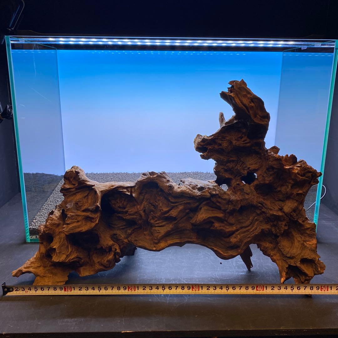 MRW-6570 特大自立赤系天然流木　1点物　流木　アクアリウム