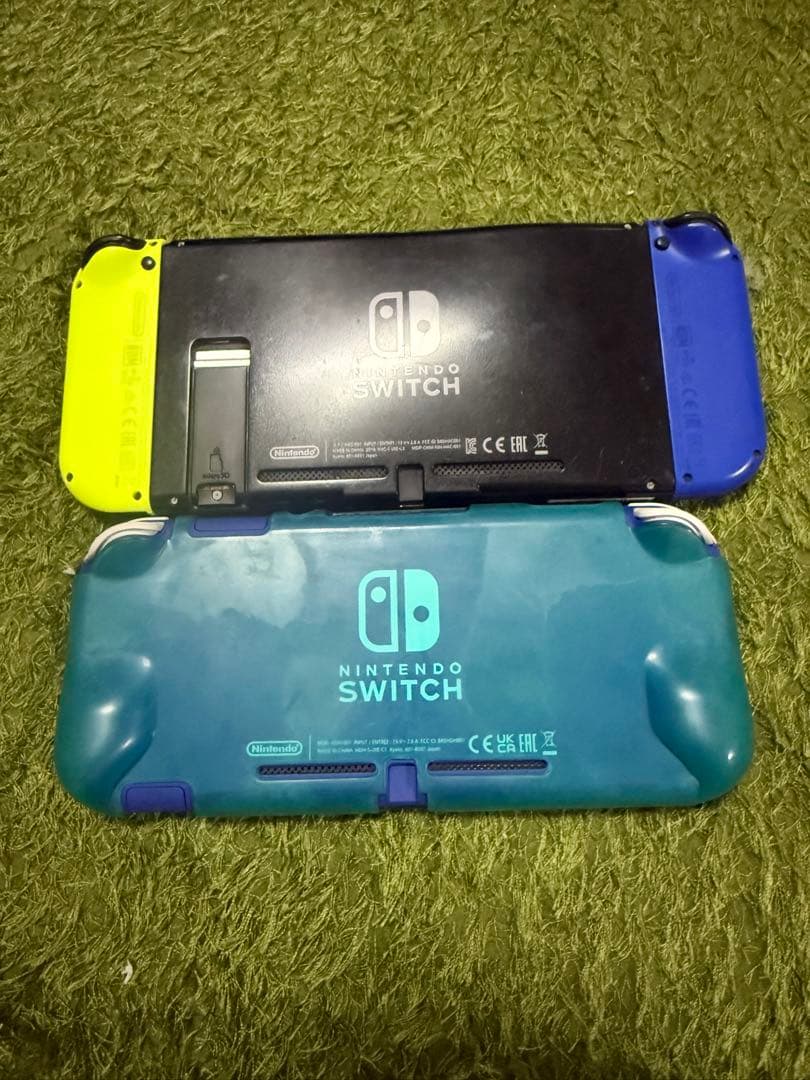 ニンテンドースイッチライトジャンク品(2種)