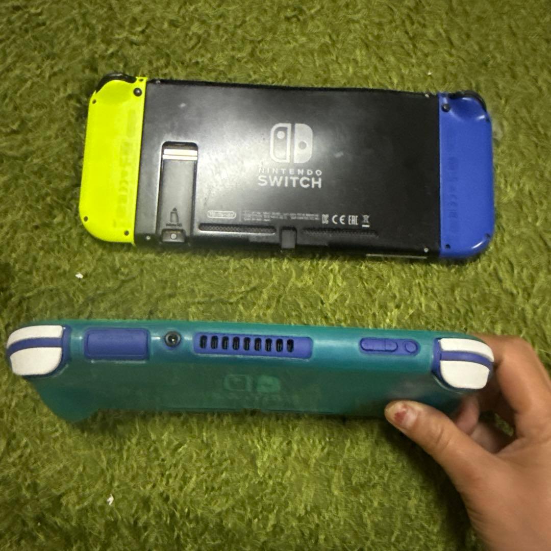 ニンテンドースイッチライトジャンク品(2種)