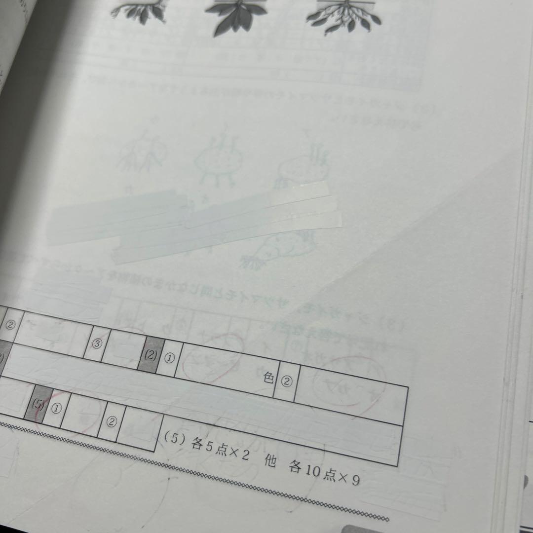 あ　希少　グノーブル　小6 理科　基礎力テスト　サピックス　理科基礎トレ
