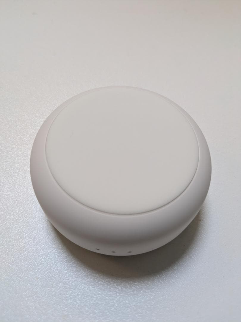 イヤホン Anker Sleep A30