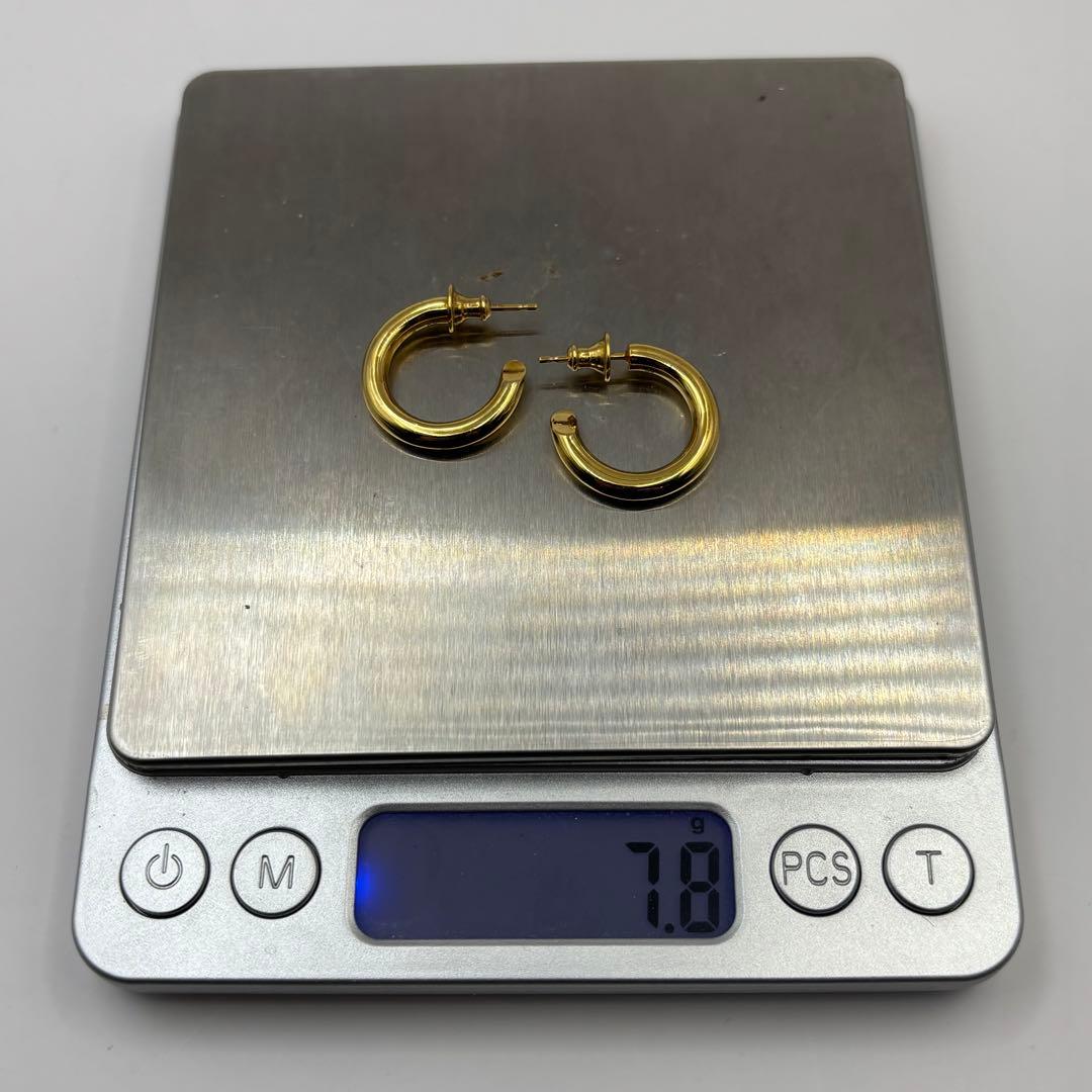 CAREERING キャリアリング PLACEBO 501 両耳