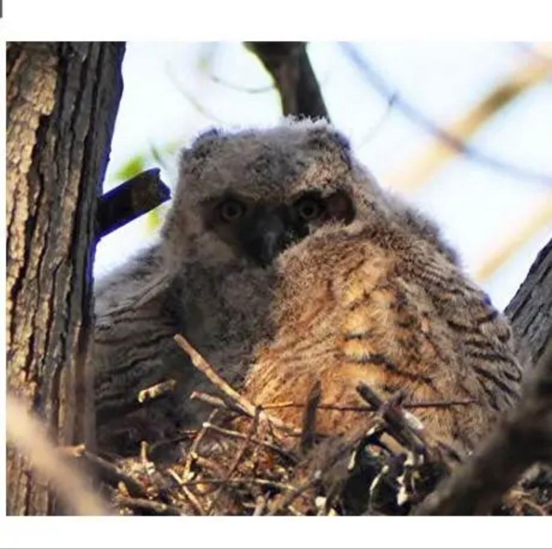 Canon EOSR50などに最適！Rシリーズ対応 望遠レンズ　サードパーティ製