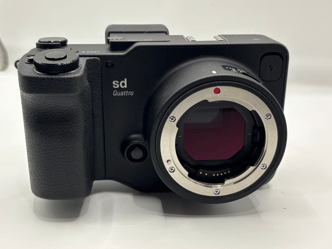 sd Quattro + Art30mm f/1.4キット驚異の色再現＆解像感