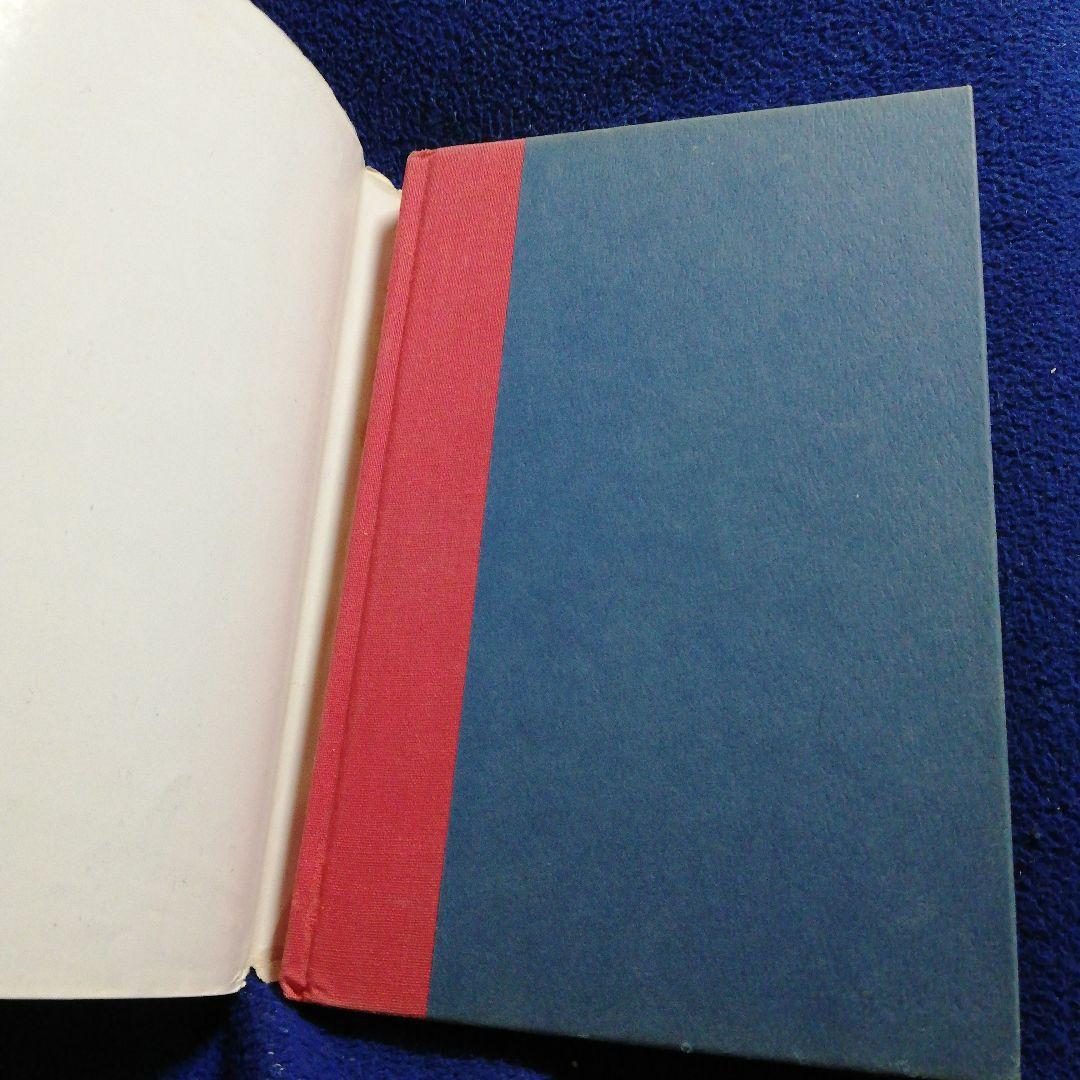 洋書 The Great Airship Mystery by Cohen