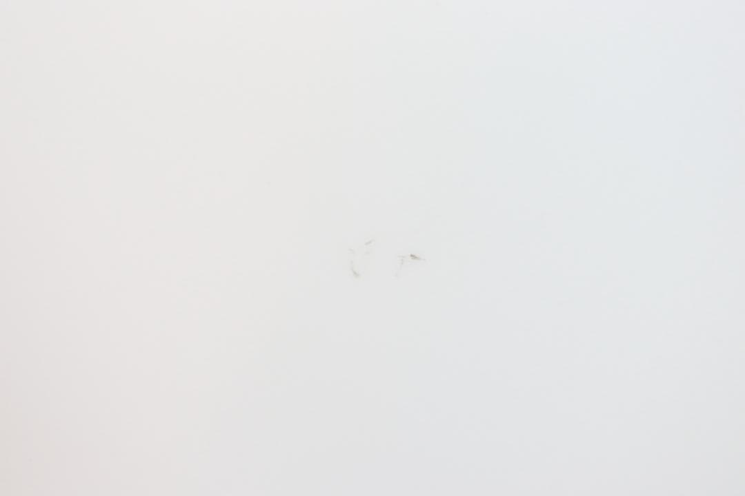 お値下げ♡ ミントン　スプリングブーケ　チュリーン　蓋付ボウル　ヴィンテージ