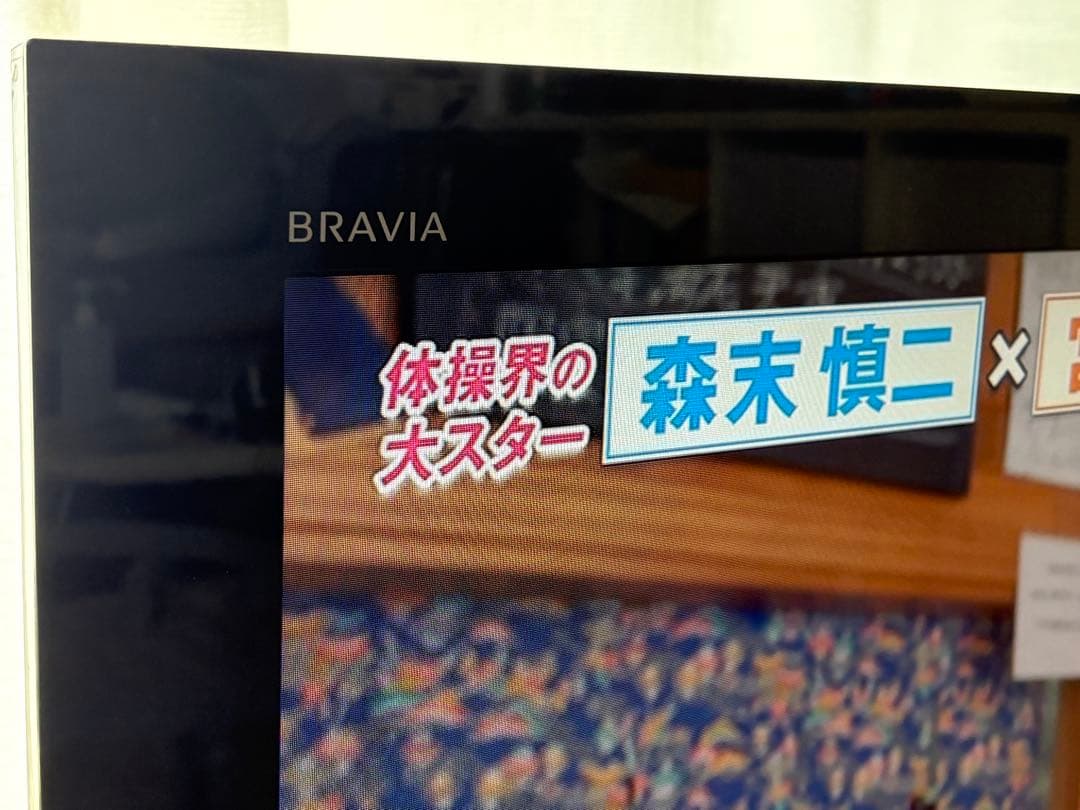 SONY BRAVIA KDL-40EX500 40インチ液晶テレビ 本体