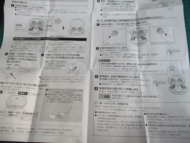 【公式】Shop Japan(ショップジャパン) 楽ちんヒアリング本体 2個セッ