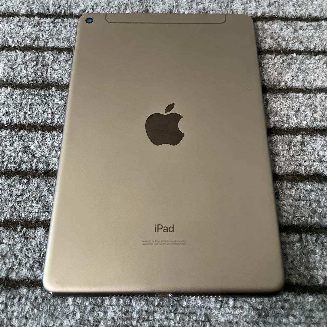 237【早い者勝ち】 iPad mini5 5世代 64GB SIMフリー