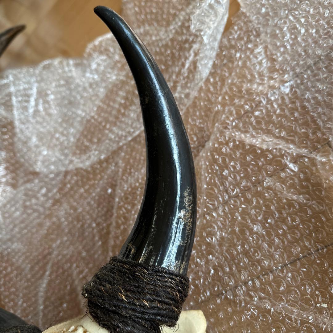 値下げしました！バッファロースカル　牛頭蓋骨　壁掛け彫像　カウボーイ　アメカジ