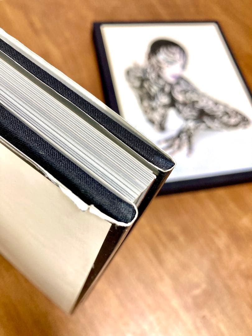 大判洋書 セルジュ・ルタンス SERGE LUTENS 写真集 函付き