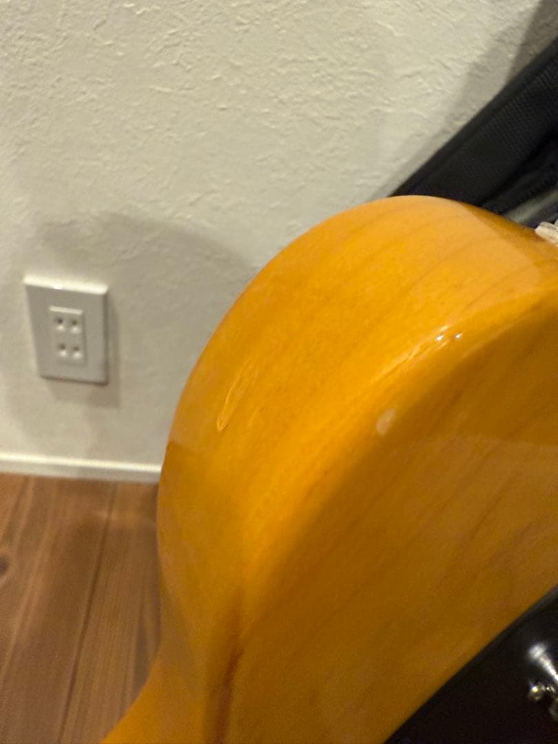 HL-TV/M History テレキャスタータイプ