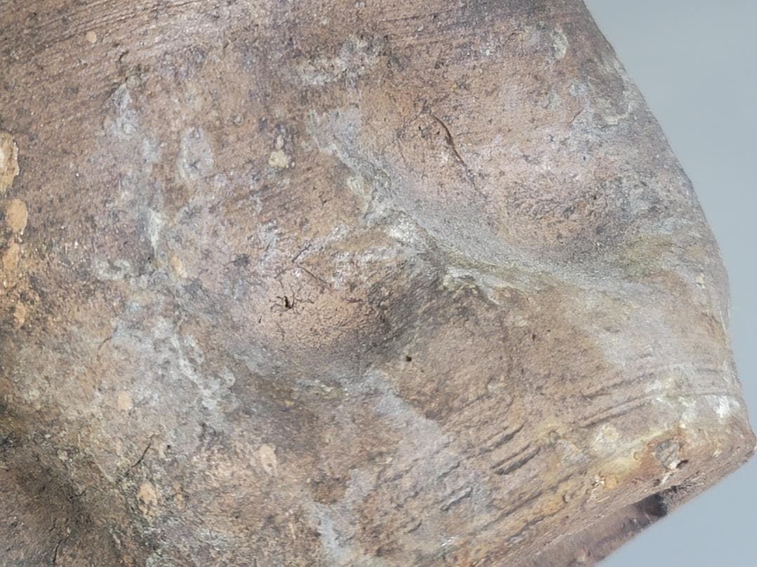 古美術 茶道具 古志賀焼 水指 時代物 DT164