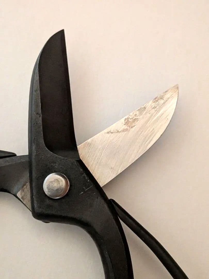 昌国作　華道用ハサミ