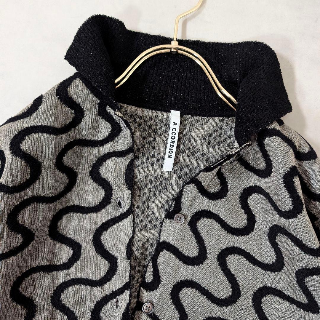 A CCORDION アコーディオン 25年モデル シャイニーウェイヴィーシャツ