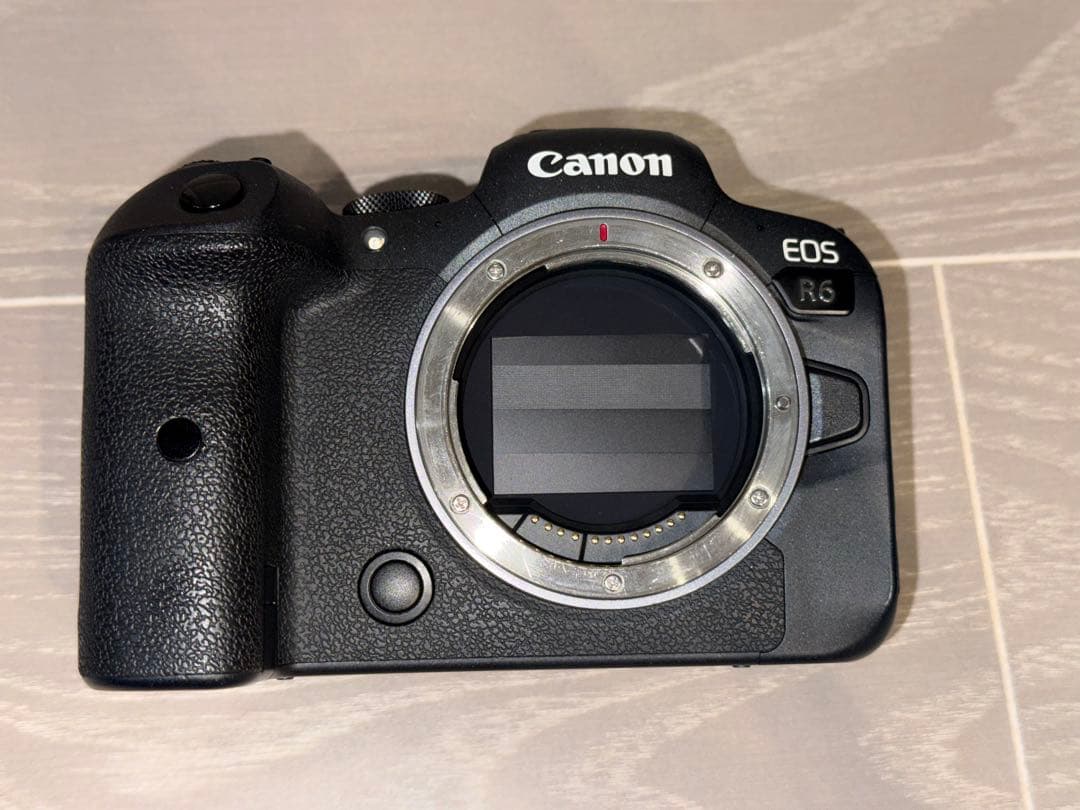 Canon EOS R6 ミラーレス一眼