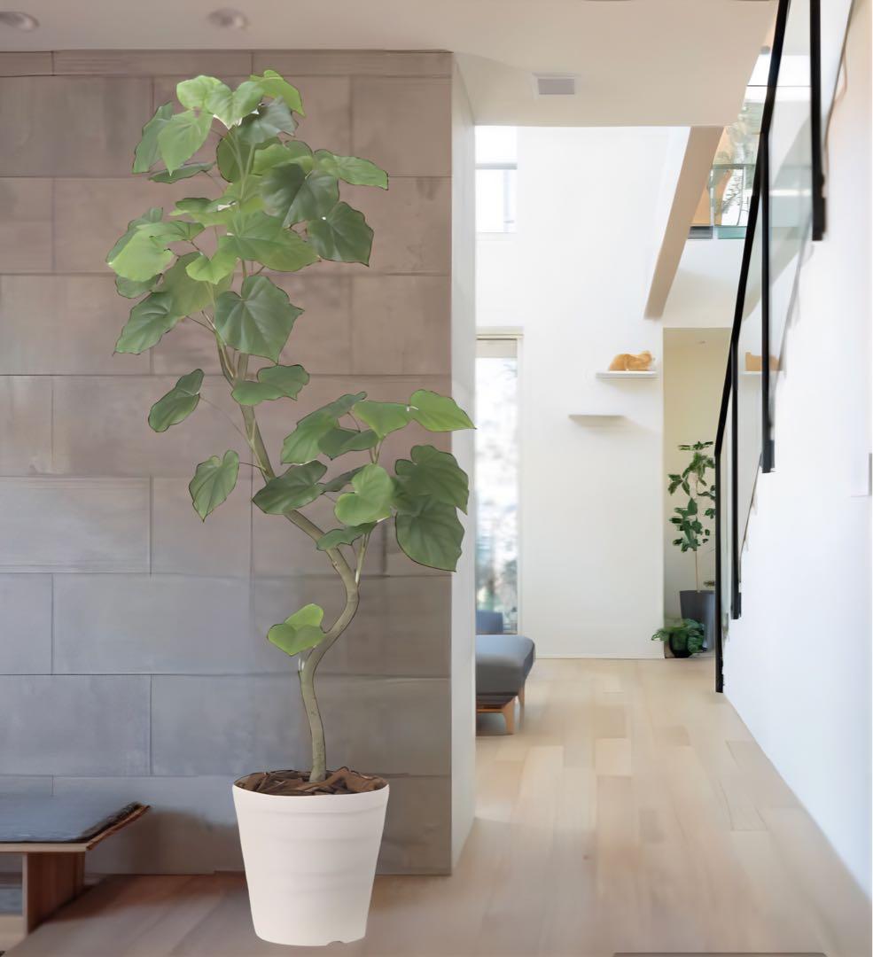 光触媒　人工観葉植物　フェイクグリーン　ツイストウンベラータ1.6